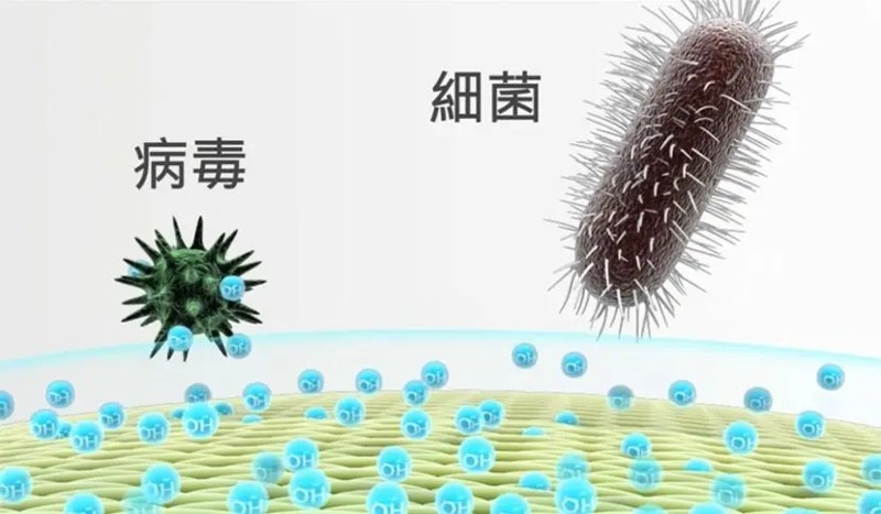 Hinokitiol uses CAS 499-44-5 | Shaanxi BLOOM Tech Co., Ltd Hinokitiol uses CAS 499-44-5 | Shaanxi BLOOM Tech Co., Ltd