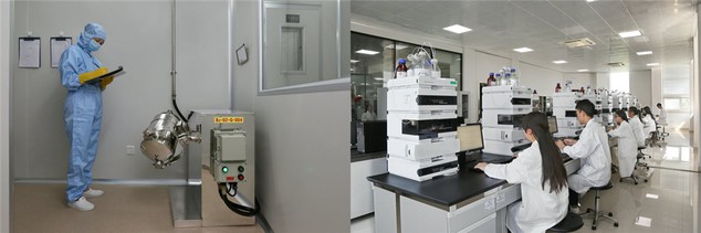 Cholesterol synthesis | Shaanxi BLOOM Tech Co., Ltd Cholesterol synthesis | Shaanxi BLOOM Tech Co., Ltd