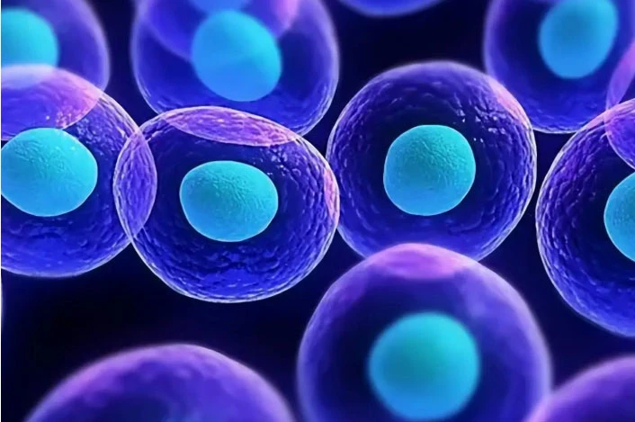 Slu-PP-332 Peptide Benefits | Shaanxi BLOOM Tech Co., Ltd Slu-PP-332 Peptide Benefits | Shaanxi BLOOM Tech Co., Ltd