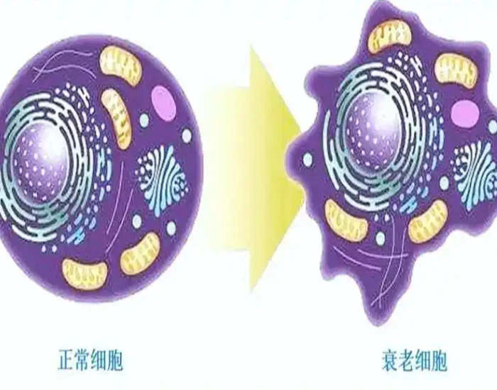 NAD+ Cost | Shaanxi BLOOM Tech Co., Ltd NAD+ Cost | Shaanxi BLOOM Tech Co., Ltd