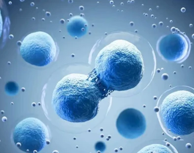 Bioglutide NA-931 Hormonal Environment | Shaanxi BLOOM Tech Co., Ltd Bioglutide NA-931 Hormonal Environment | Shaanxi BLOOM Tech Co., Ltd