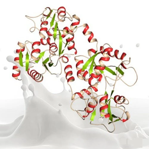 Best l arginine powder-use | Shaanxi BLOOM Tech Co., Ltd Best l arginine powder-use | Shaanxi BLOOM Tech Co., Ltd