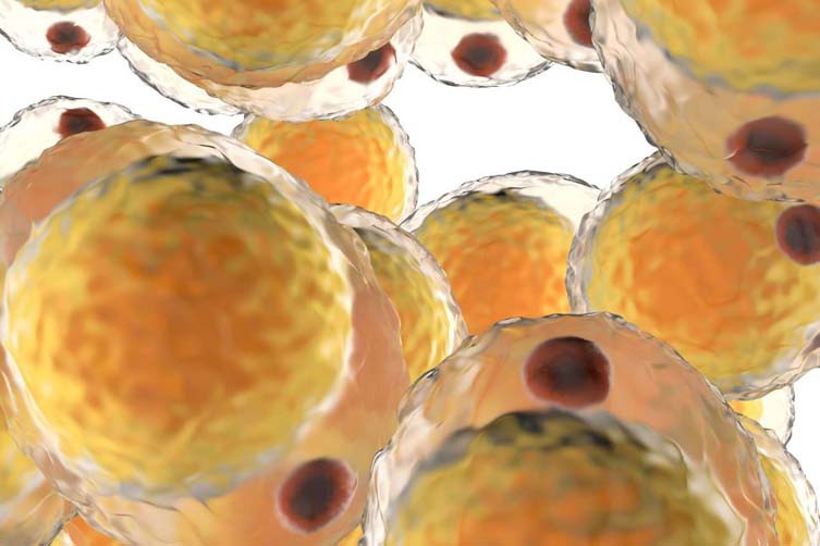 AOD 9604 Injection | Shaanxi BLOOM Tech Co., Ltd AOD 9604 Injection | Shaanxi BLOOM Tech Co., Ltd